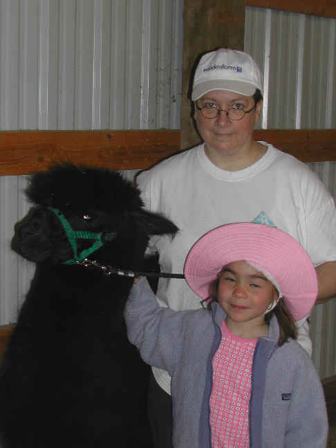 [Shearing 2k4]